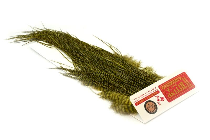 Whiting Silver Saddle Grizzly dyed Olive view 2