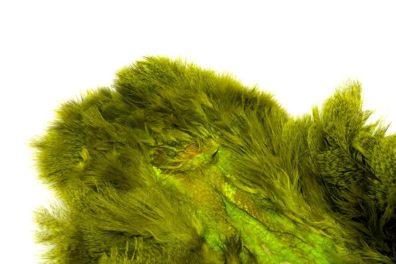 Coq De Leon Hen SH/C Speckled dyed Fl. Yellow Chartreuse view 5