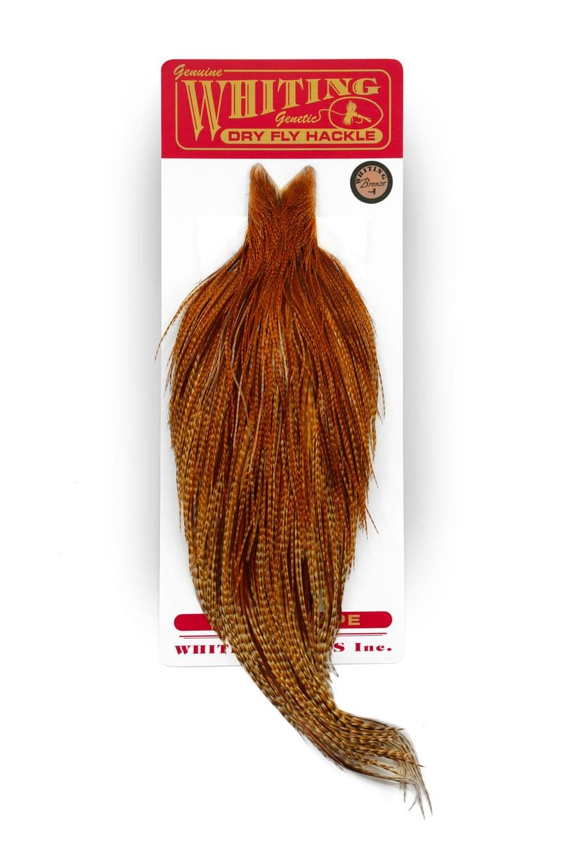 Whiting Bronze Cape Barred Dark Ginger view 3