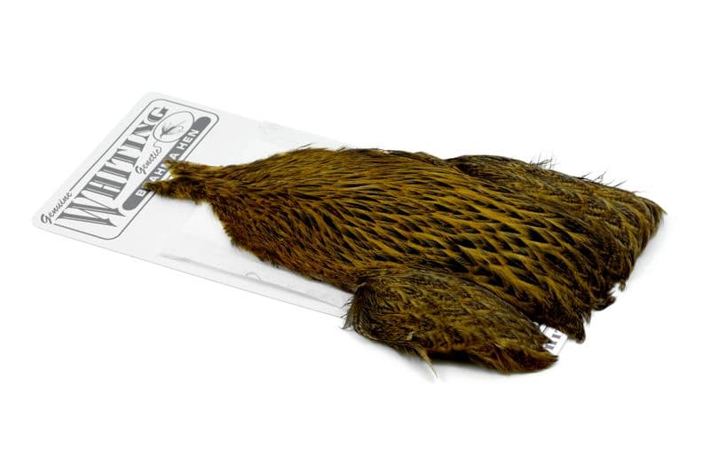 Brahma Hen Cape Badger dyed Golden Olive view 2