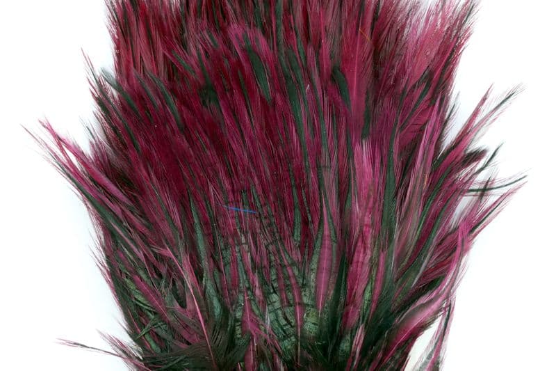 American Streamer Pack Black laced White dyed Claret view 1