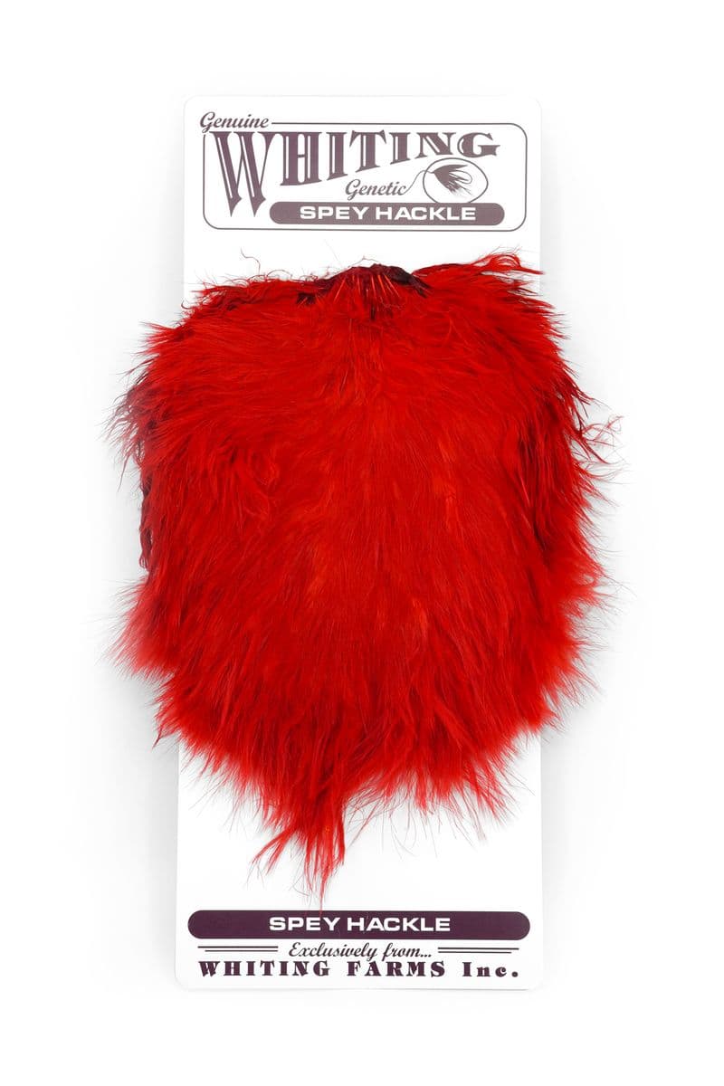 Spey Hackle Hen Saddle White dyed Red view 3