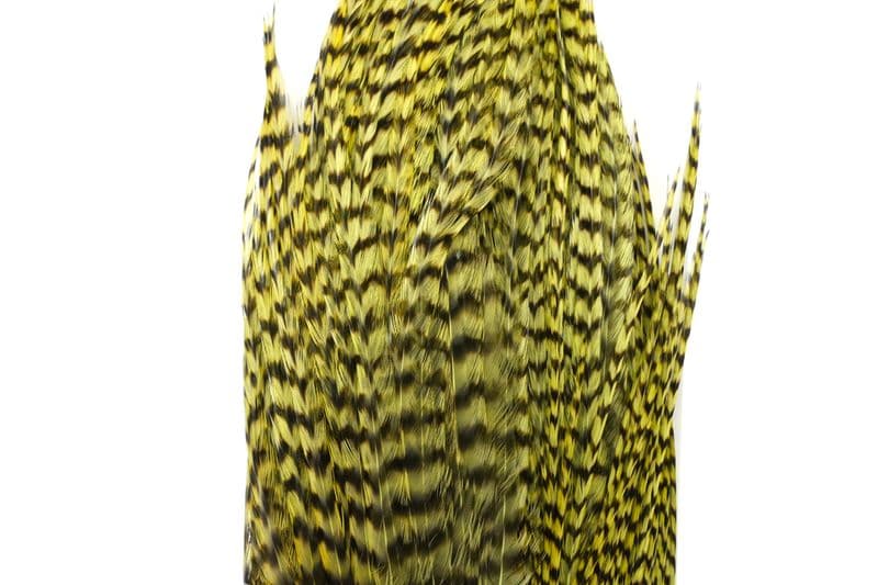 Whiting Bugger Pack Grizzly dyed Olive view 1