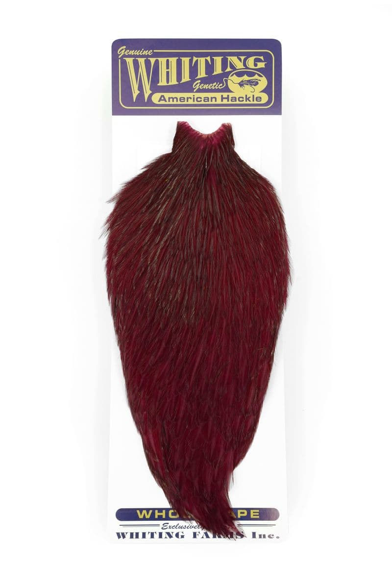 American Rooster Cape White dyed Claret view 3