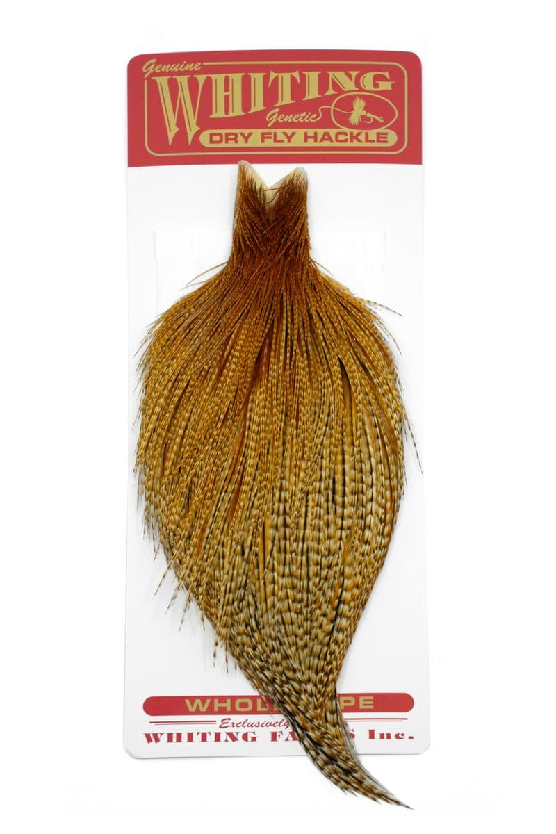 Whiting Commercial Cape Barred Dark Ginger view 3