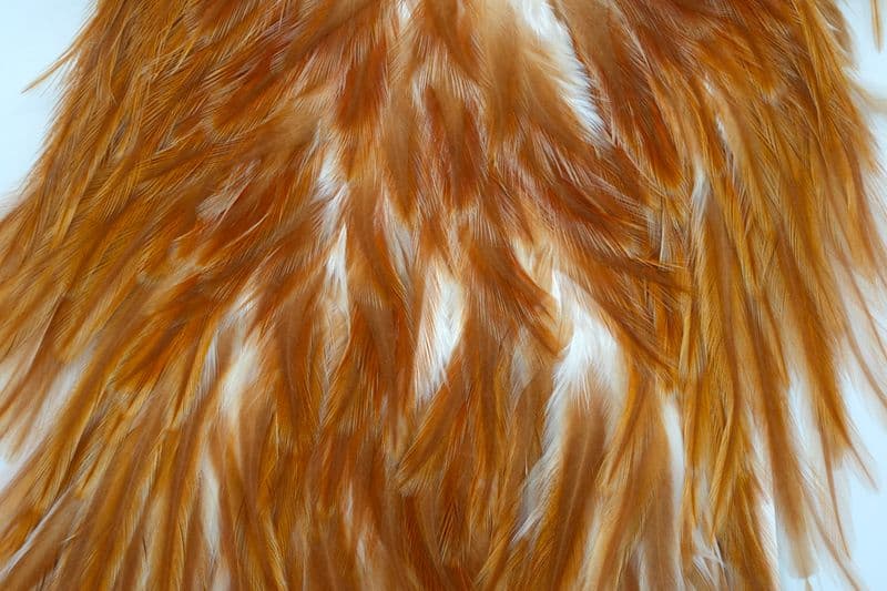 American Rooster Saddle Medium Ginger view 1