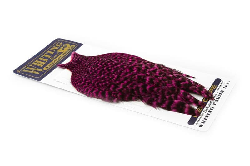 American Hen Cape Grizzly dyed Pink view 2