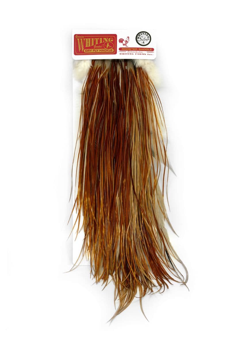 Whiting Silver Saddle Medium Ginger view 4