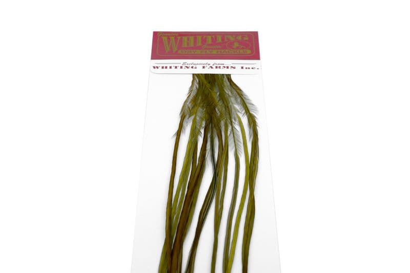 Whiting 100 Pk Size 16 White dyed Dark Olive view 4