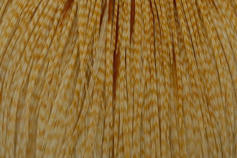 Whiting Commercial Cape Barred Medium Ginger view 1