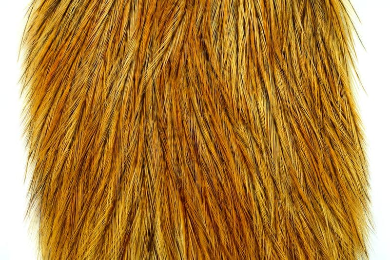 Coq de Leon Cape Badger