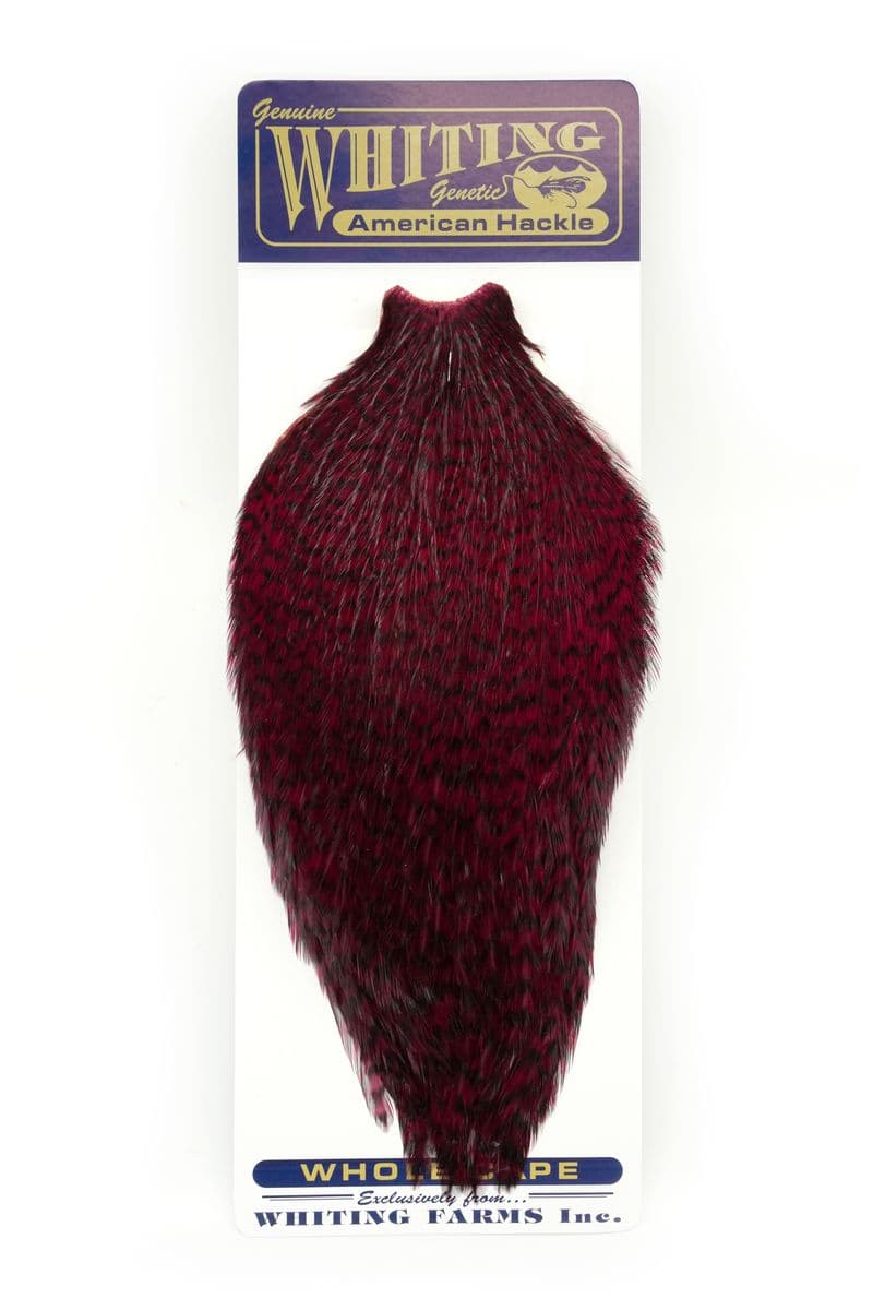 American Rooster Cape Grizzly dyed Claret view 3