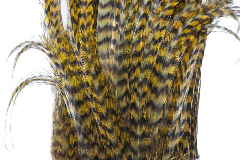 Whiting Bugger Pack Grizzly dyed Dark Olive view 1