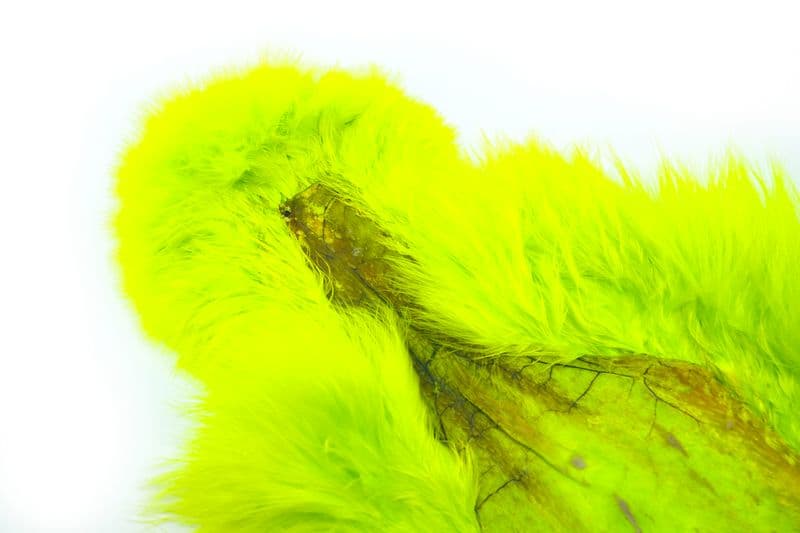 Spey SH/C White dyed Fl. Yellow Chartreuse view 1