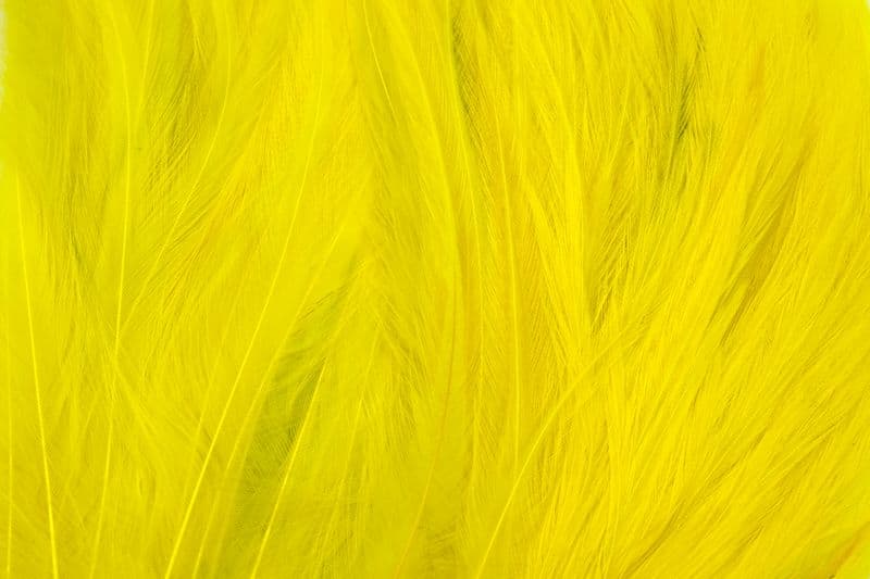 Whiting Bugger Pack White dyed Yellow view 1