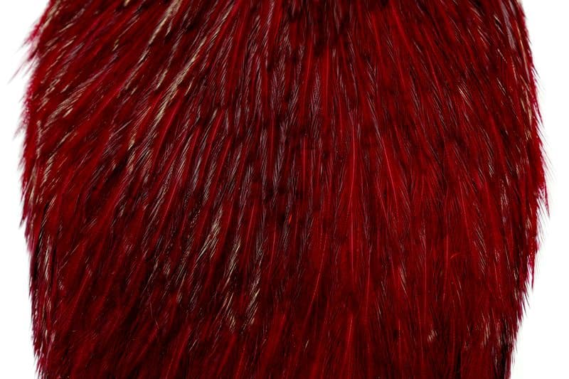 American Rooster Cape White dyed Claret view 1