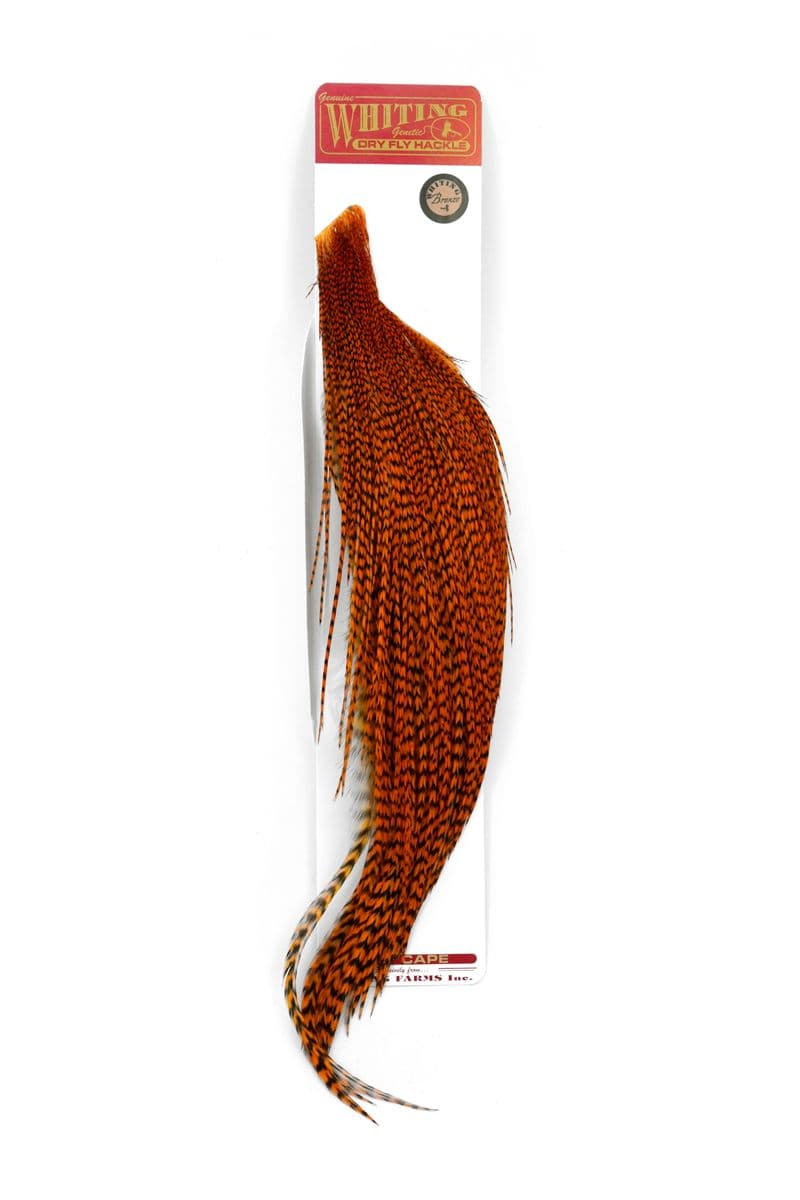 Whiting Bronze 1/2 Cape Grizzly dyed Burnt Orange view 2