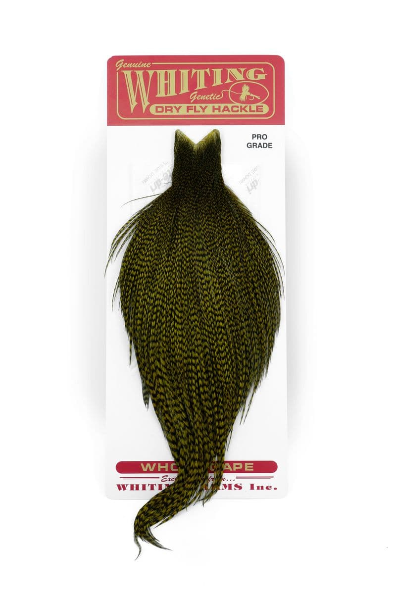 Whiting Pro Grade Cape Grizzly dyed Dark Olive view 3