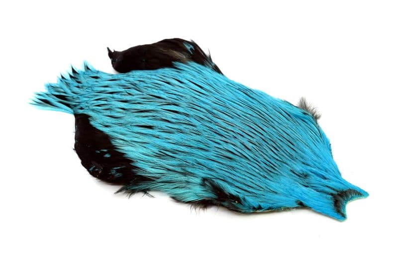 Brahma Rooster Cape Badger dyed Silver Dr Blue view 2