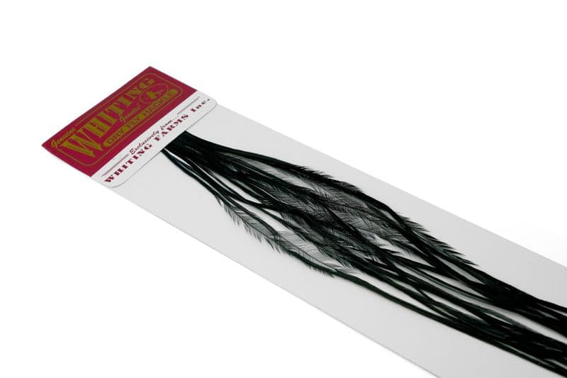 Whiting 100 Pk Size 16 Black view 3