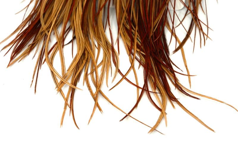 Whiting Gold Saddle Brown view 5