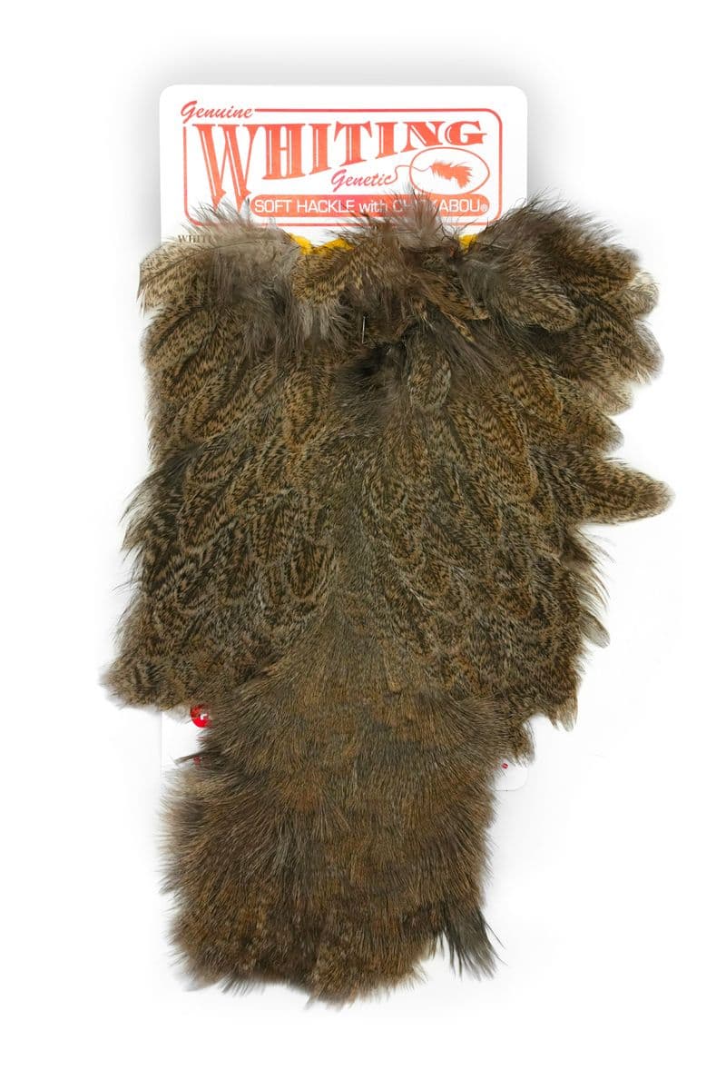 Coq De Leon Hen SH/C Brown Speckled view 3