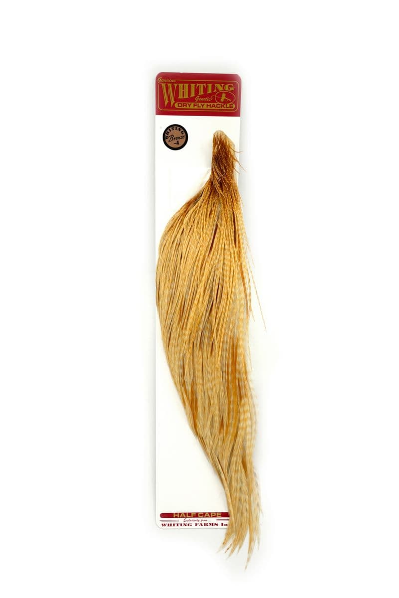Whiting Bronze 1/2 Cape Barred Med Ginger view 2