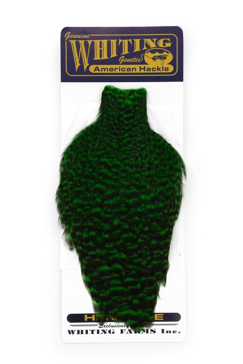 American Hen Cape Grizzly dyed Highlander Green view 3