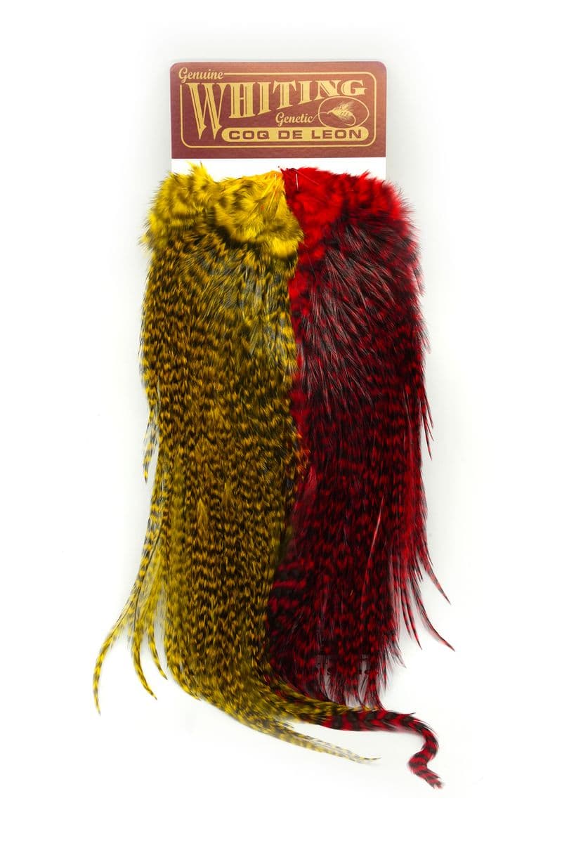 CDL Predator Pack. Grizzly Pardo Red & Yellow view 2