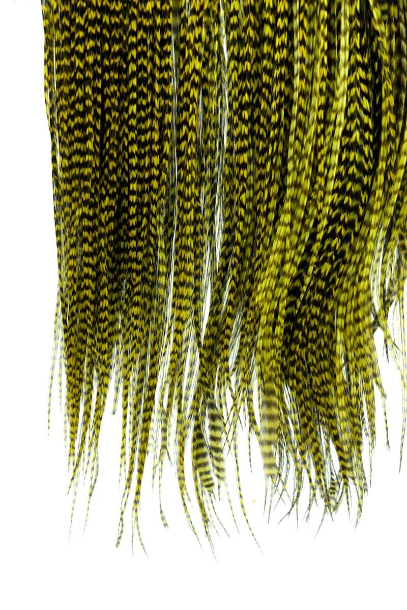 Eurohackle Saddle Grizzly dyed Olive view 4