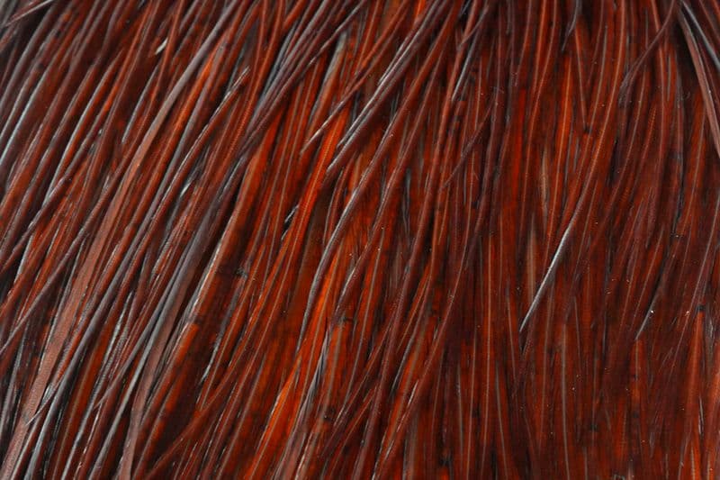 Whiting Silver Cape White dyed Coachman Brown view 1