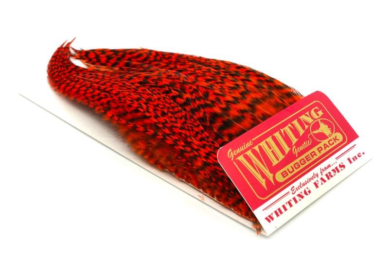 Whiting Bugger Pack Grizzly dyed Orange view 2