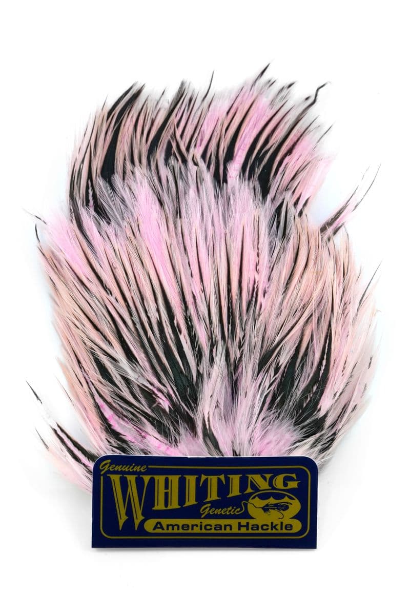 American Streamer Pack Black laced White dyed Shell Pink view 4