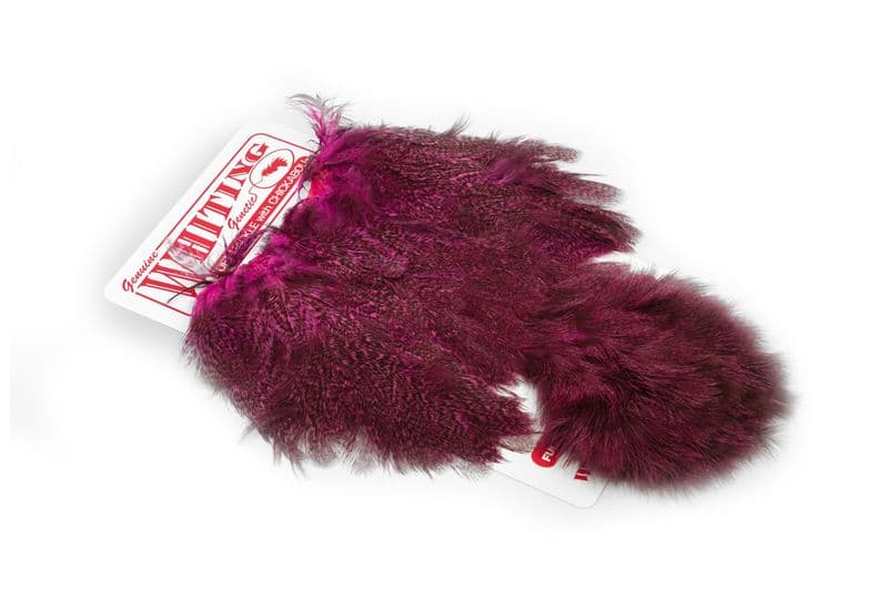 Coq De Leon Hen SH/C Speckled dyed Pink view 2