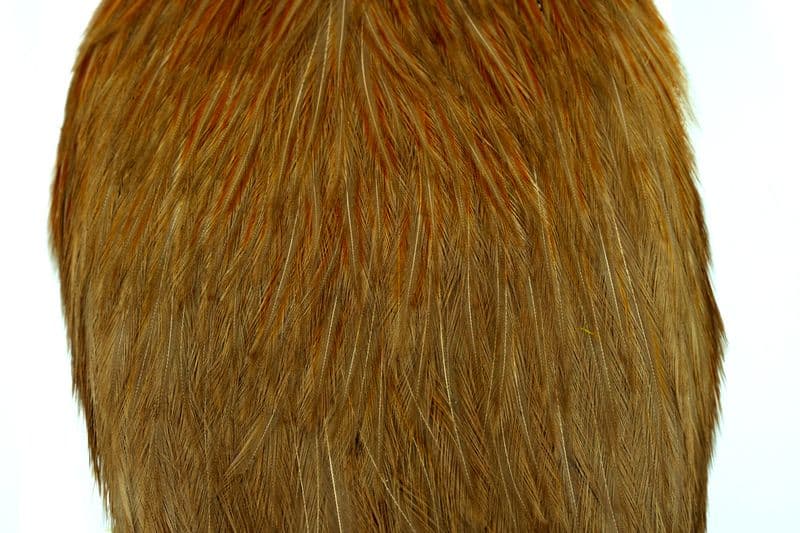 American Rooster Cape White dyed Tan view 1