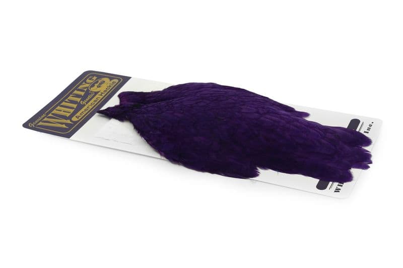 American Hen Cape White dyed Purple view 2