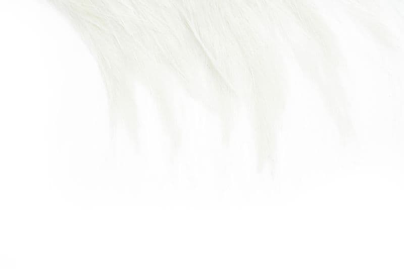 Coq de Leon Bronze Saddle White view 4
