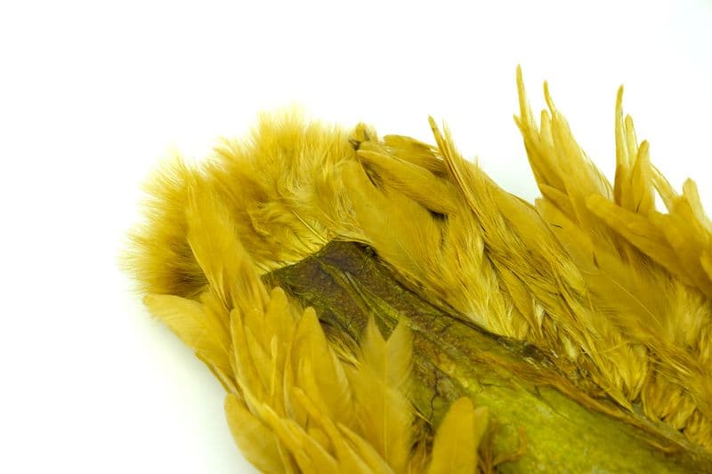 Whiting Rooster SH/C White dyed Golden Olive view 1