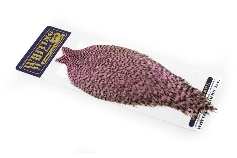 American Rooster Cape Grizzly dyed Shell Pink view 2