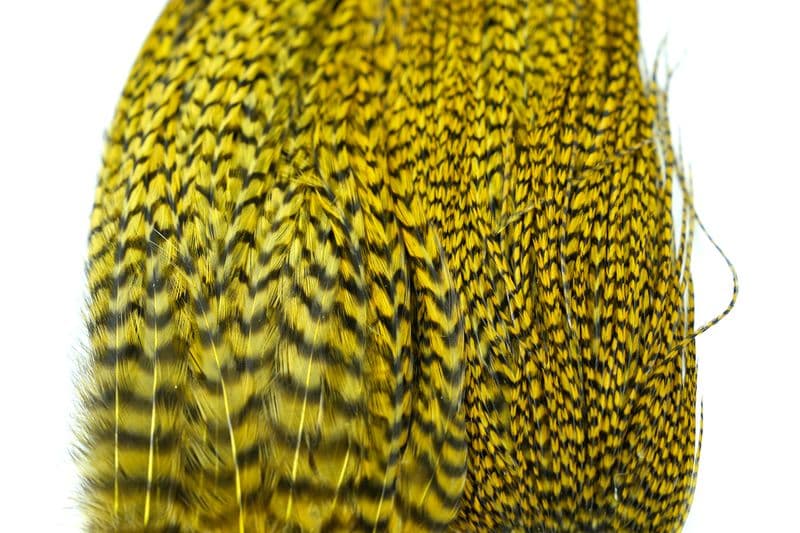 Whiting Bugger Pack Grizzly dyed Golden Olive view 1