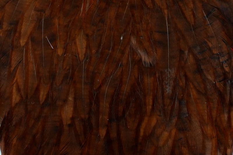 American Rooster Cape White dyed Coachman Brown view 1