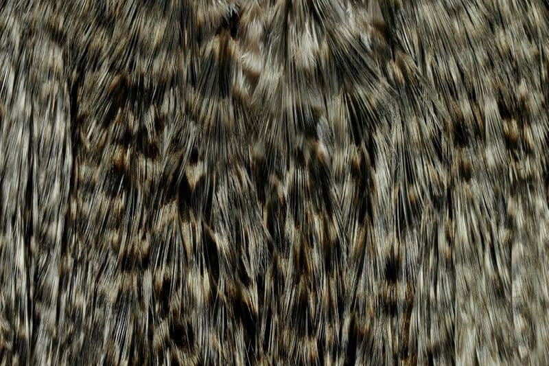 Coq de Leon Bronze Saddle Grizzly dyed Dun view 1