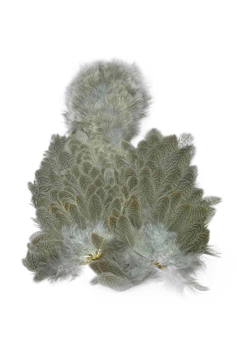 Brahma Hen SH/C Mottled Grey view 3