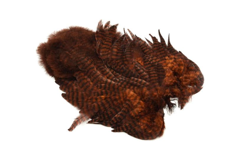 Whiting Rooster SH/C Grizzly dyed Coachman Brown view 1