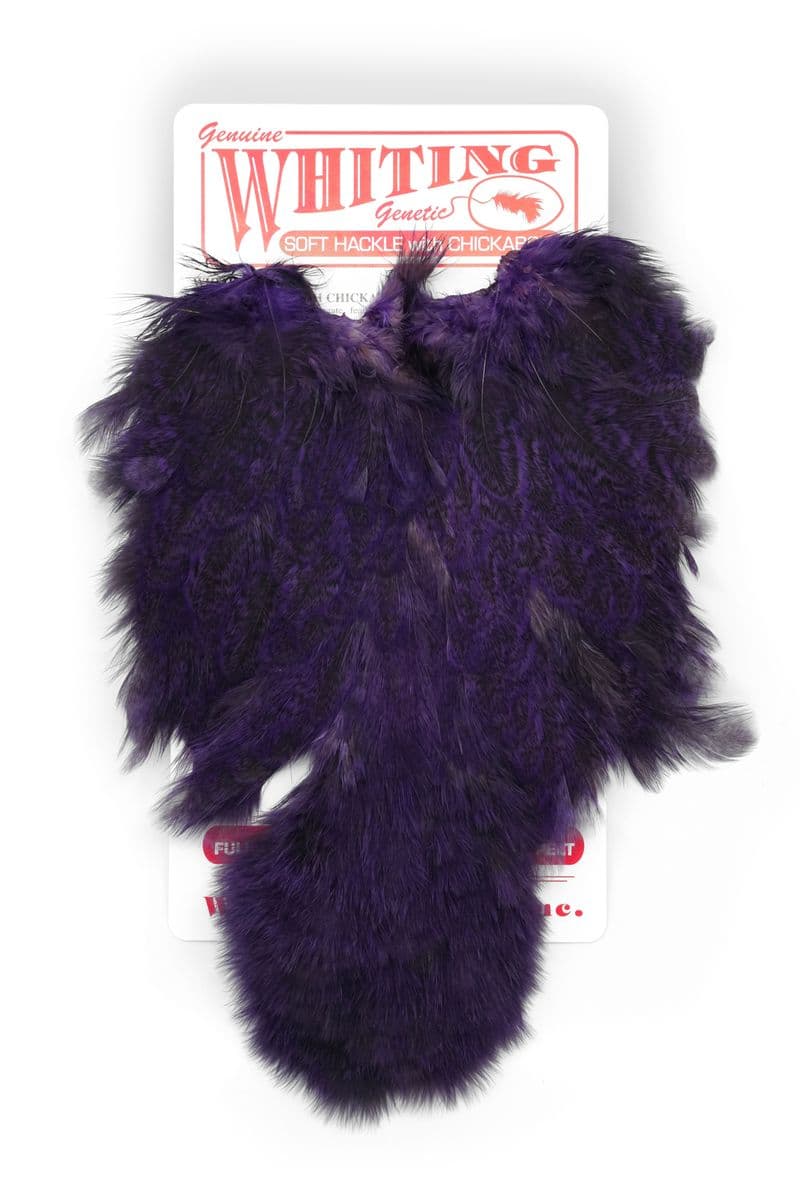 Coq De Leon Hen SH/C Speckled dyed Purple view 3