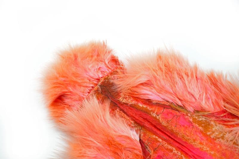 Spey SH/C White dyed Salmon view 1