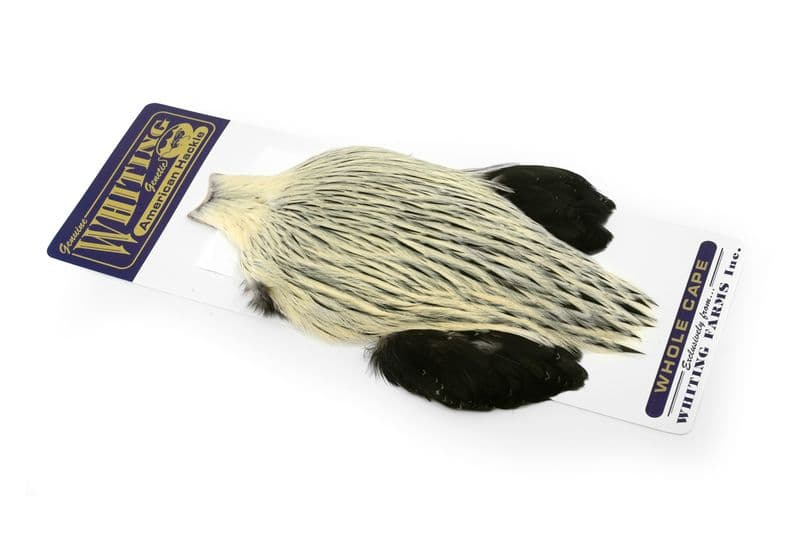American Rooster Cape Silver Badger view 2