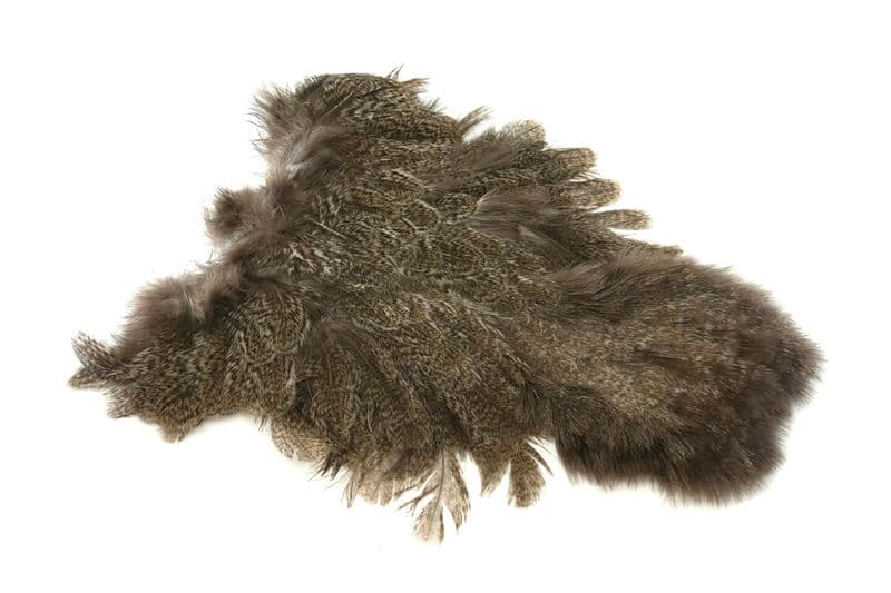 Coq De Leon Hen SH/C Natural Speckled view 4