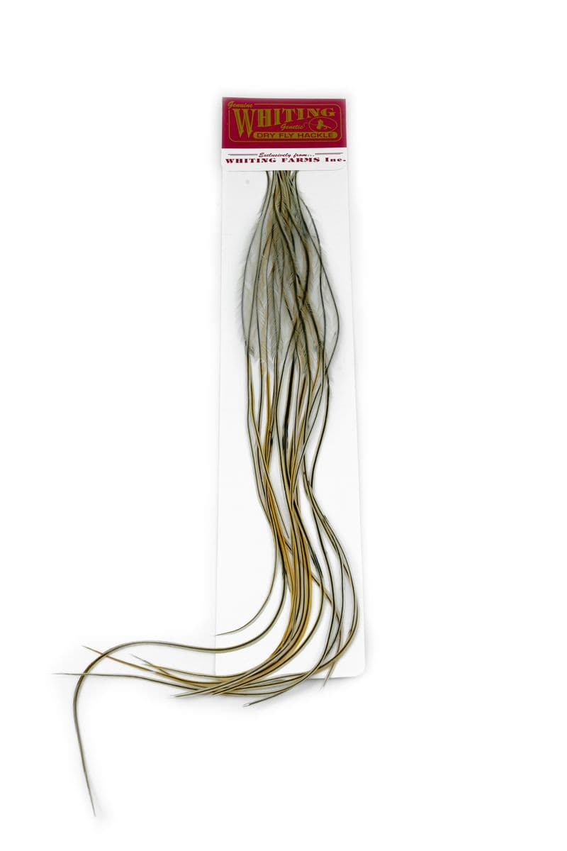 Whiting 100 Pk Size 18 Golden Badger view 2