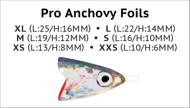 Anchovy Foils Anchovy view 2